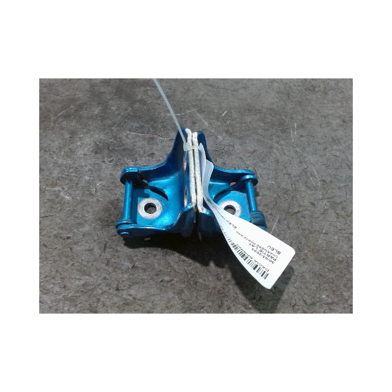 CHARNIÈRE PORTE ARG DACIA SPRING