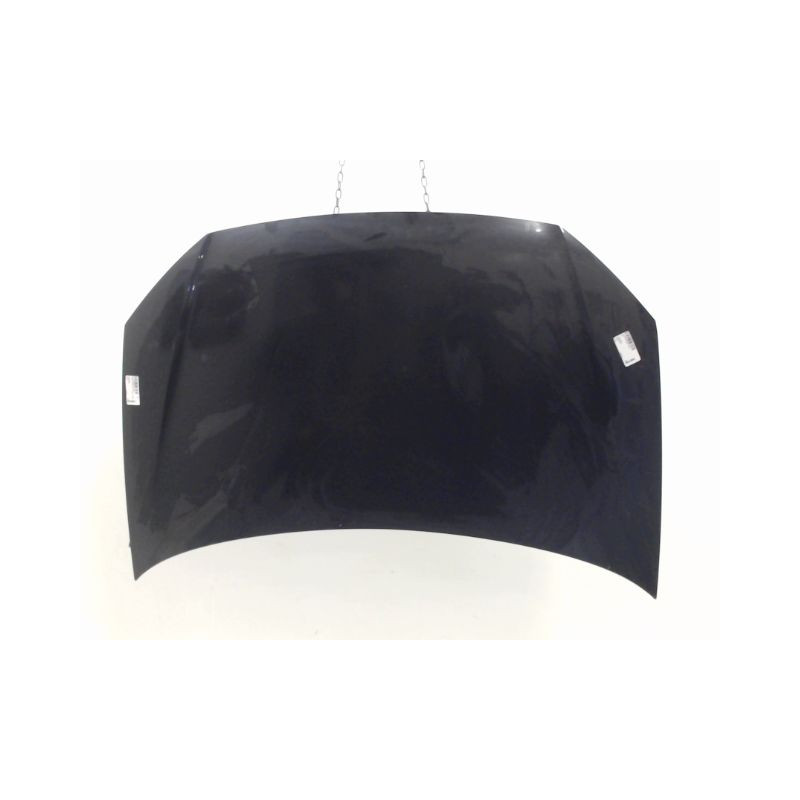 CAPOT VOLKSWAGEN POLO IV Phase 2 (9N) 2005-2009