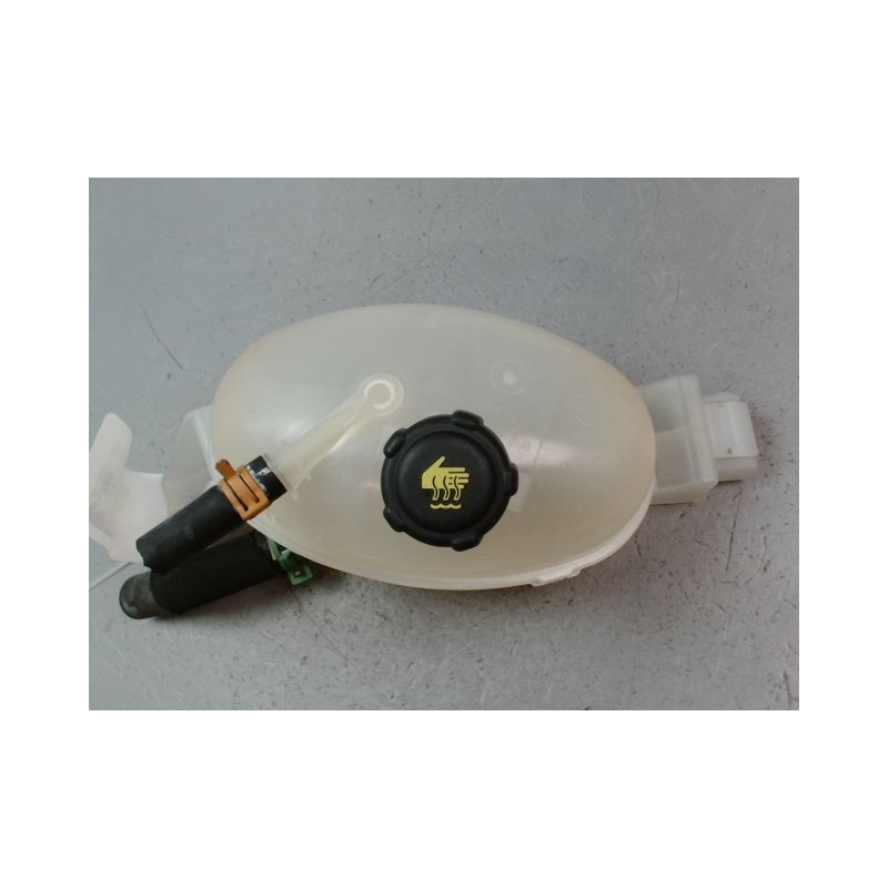VASE EXPANSION RENAULT MASTER