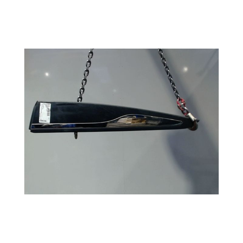 PROTECTION PORTE ARRIERE GAUCHE RENAULT CLIO IV