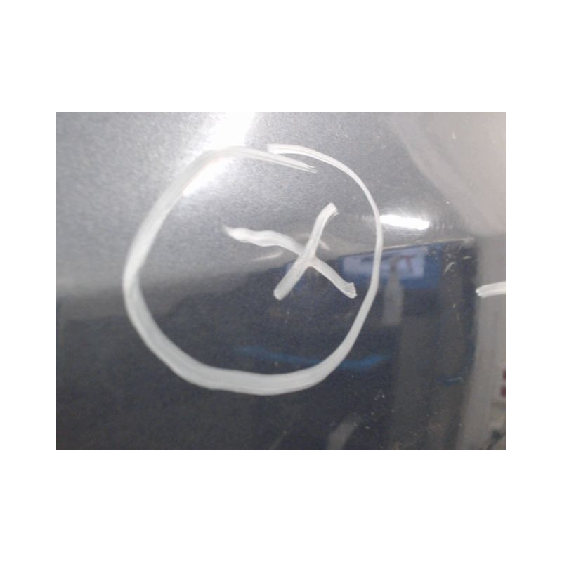 PORTE AVANT GAUCHE RENAULT CLIO ESTATE III Phase 2 2009-2012