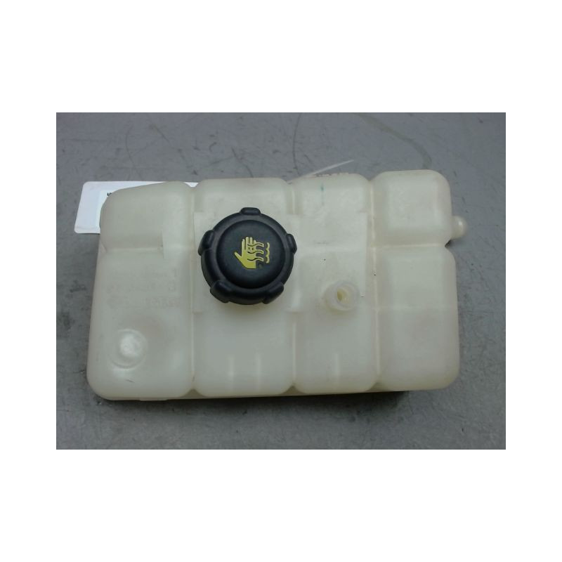 VASE EXPANSION RENAULT MEGANE