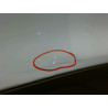 PORTE ARRIERE DROIT RENAULT CLIO