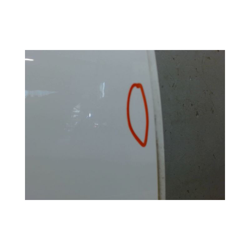 PORTE ARRIERE DROIT RENAULT CLIO