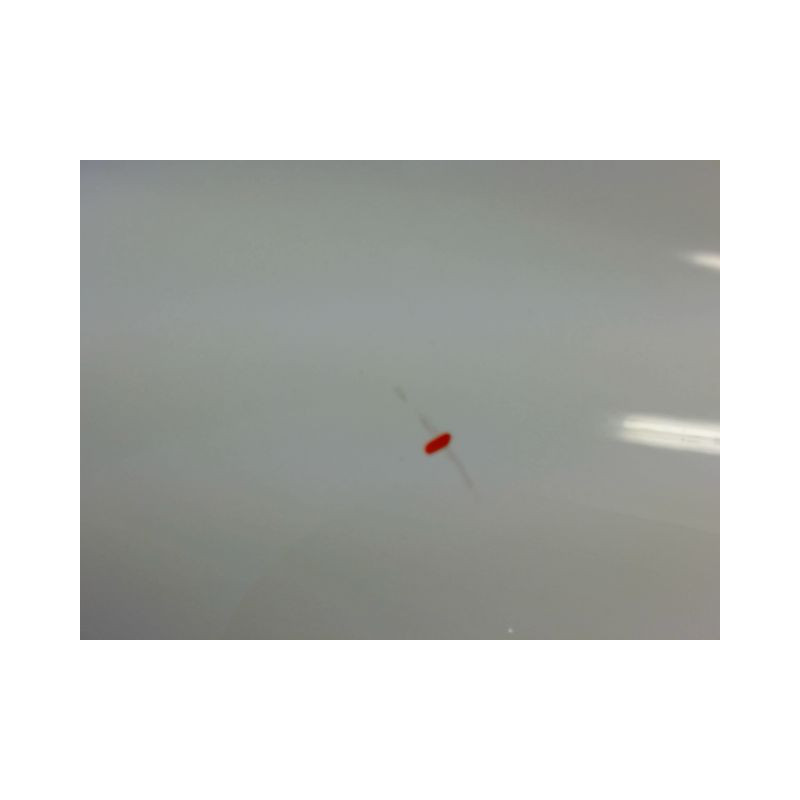 PORTE ARRIERE DROIT RENAULT CLIO