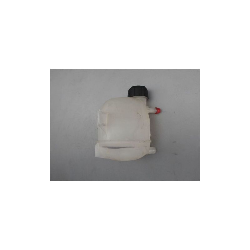 VASE EXPANSION DACIA DUSTER
