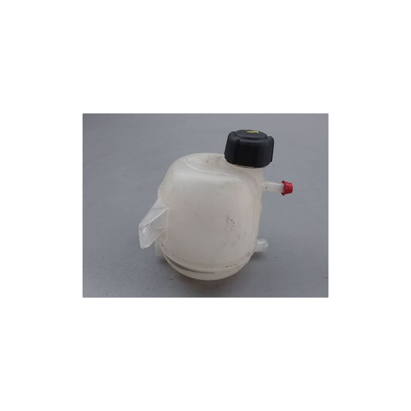VASE EXPANSION DACIA DUSTER