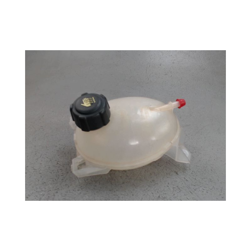 VASE EXPANSION RENAULT CLIO