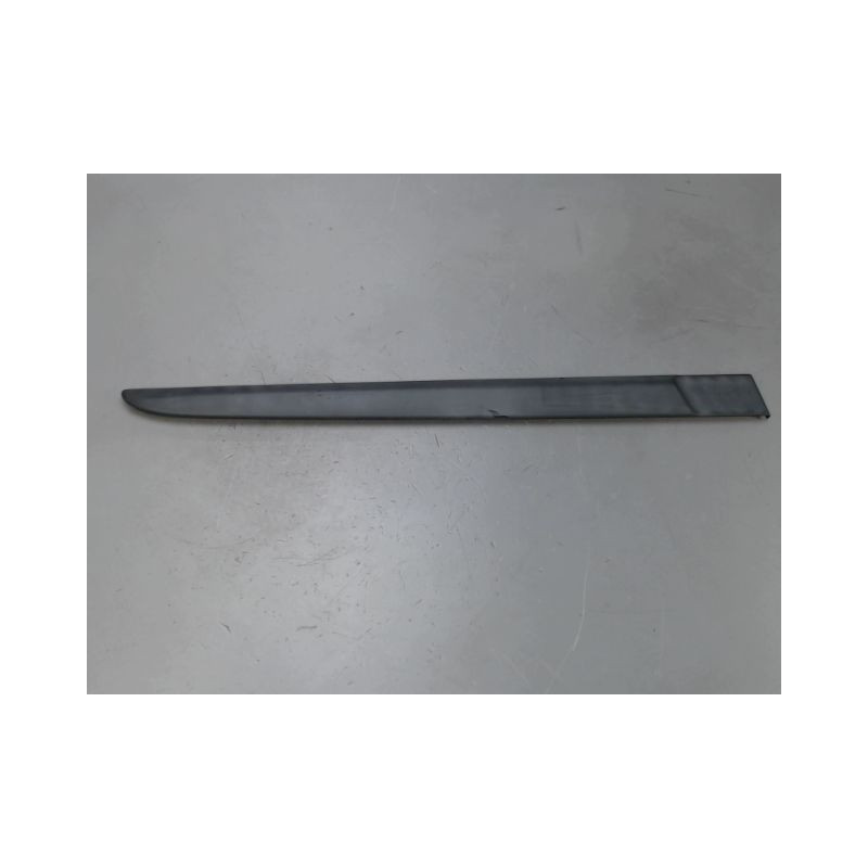 PROTECTION PORTE ARRIERE DROIT RENAULT CLIO