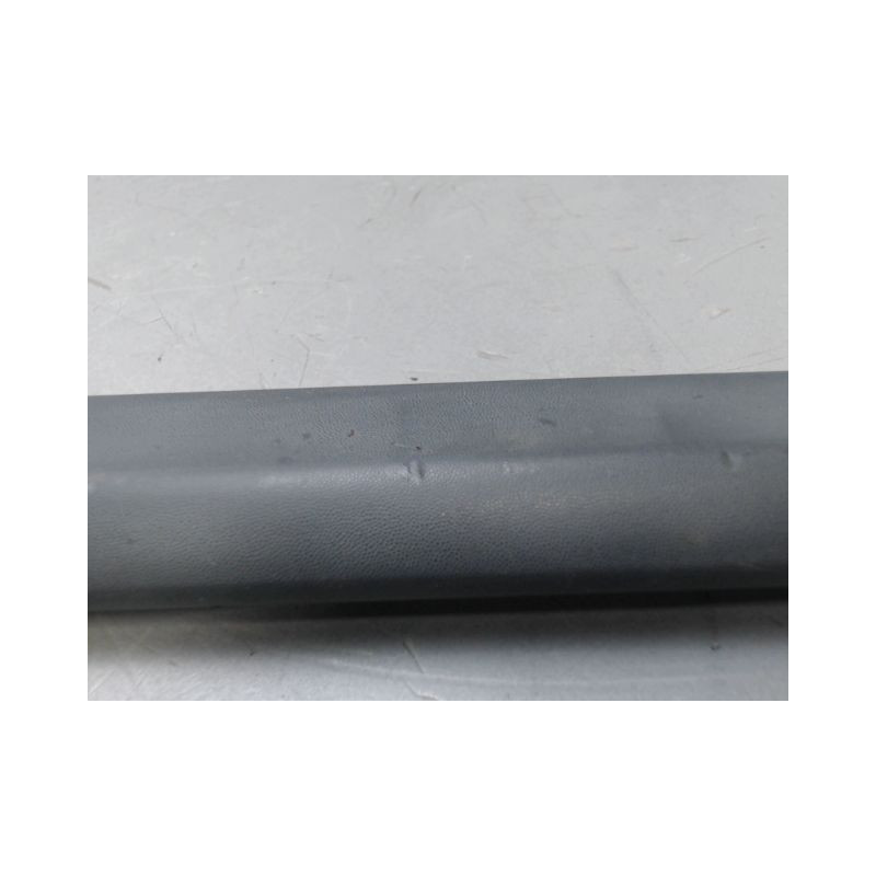 PROTECTION PORTE ARRIERE DROIT RENAULT CLIO