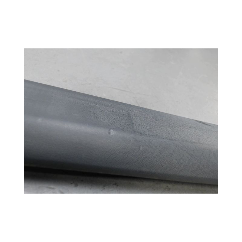 PROTECTION PORTE ARRIERE DROIT RENAULT CLIO