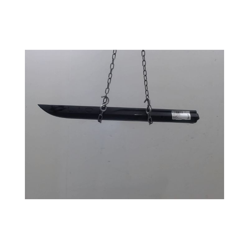 PROTECTION PORTE ARRIERE DROIT RENAULT CLIO