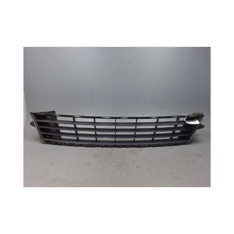 GRILLE PARE-CHOC AVANT RENAULT CLIO 3 PHASE 2 1.2I - 16V