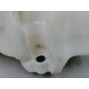 RESERVOIR LAVE-GLACE AVANT RENAULT CLIO