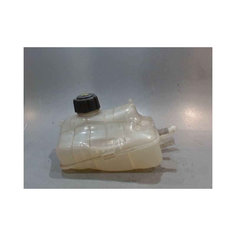 VASE EXPANSION RENAULT MEGANE