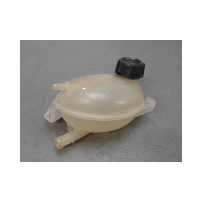 VASE EXPANSION RENAULT CLIO