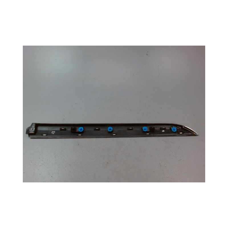 PROTECTION PORTE ARRIERE GAUCHE RENAULT CLIO