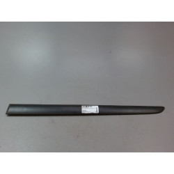 PROTECTION PORTE ARG