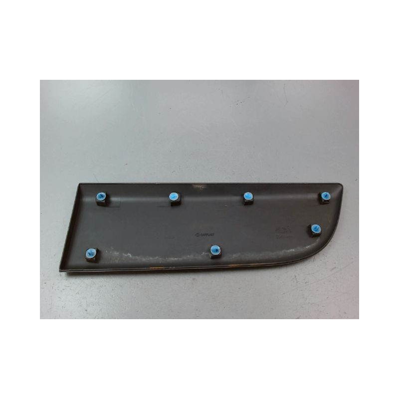 PROTECTION PORTE AVANT GAUCHE RENAULT MASTER