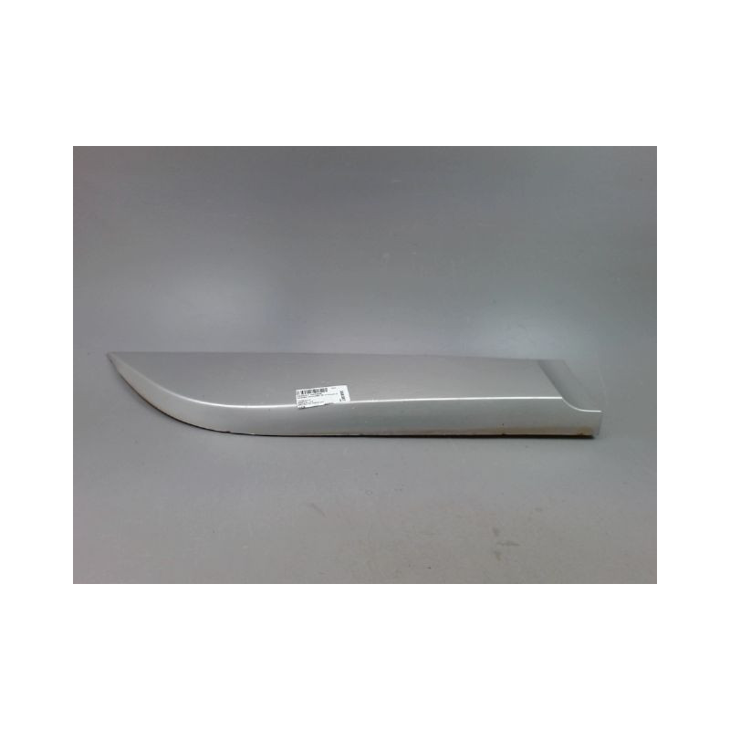 PROTECTION PORTE ARRIERE DROIT RENAULT SCENIC MONOSP. III Phase 3 2013-...