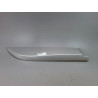 PROTECTION PORTE ARRIERE DROIT RENAULT SCENIC MONOSP. III Phase 3 2013-...