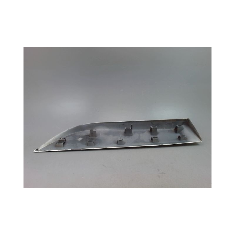 PROTECTION PORTE ARRIERE DROIT RENAULT SCENIC MONOSP. III Phase 3 2013-...