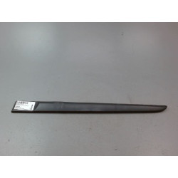 PROTECTION PORTE ARG
