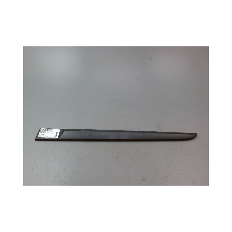 PROTECTION PORTE ARRIERE GAUCHE RENAULT CLIO ESTATE III Phase 2 2009-2012
