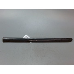 PROTECTION PORTE ARG