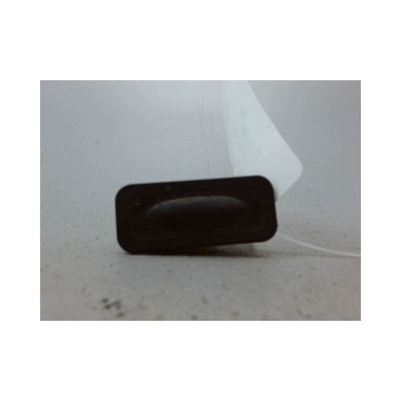 POIGNEE EXTERIEURE HAYON RENAULT CLIO III Phase 2 2009-2014