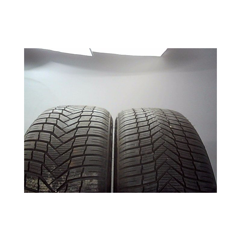 Paire de pneus WINRUN ALL SEASON VERSAT 255 50 17 98 W