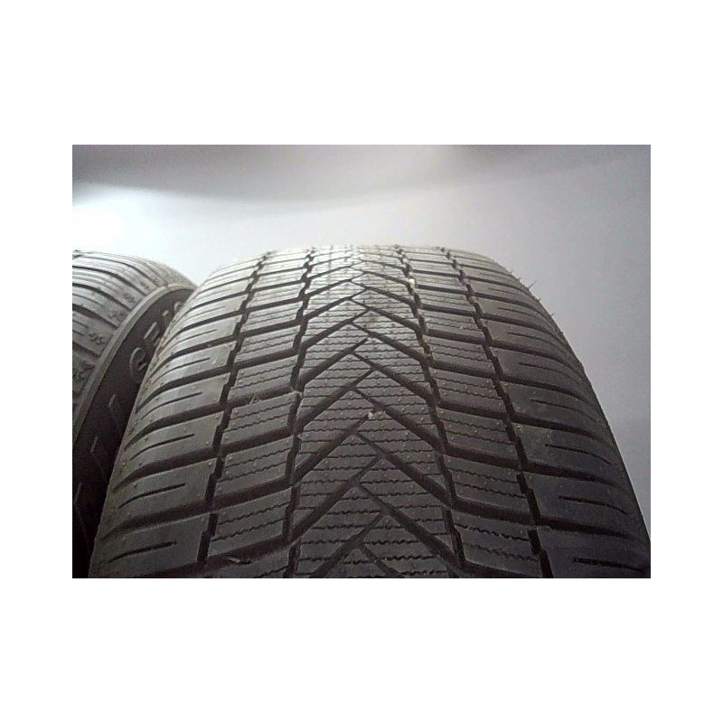 Paire de pneus WINRUN ALL SEASON VERSAT 255 50 17 98 W