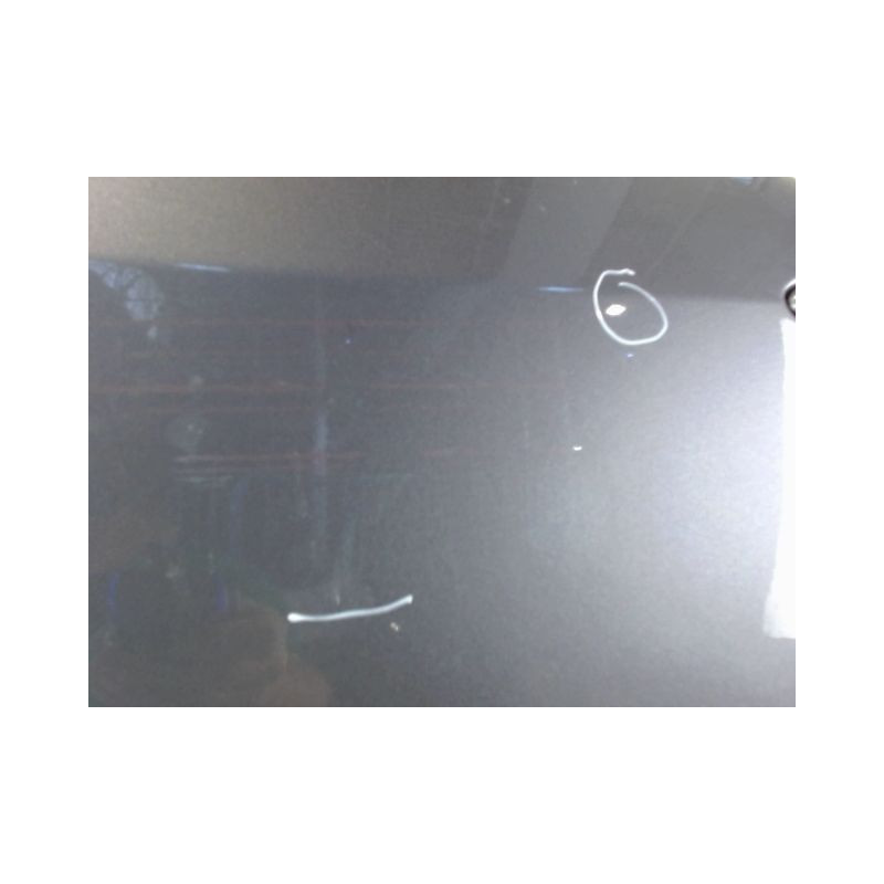 PORTE AVANT GAUCHE RENAULT MODUS LONGUE 2008-