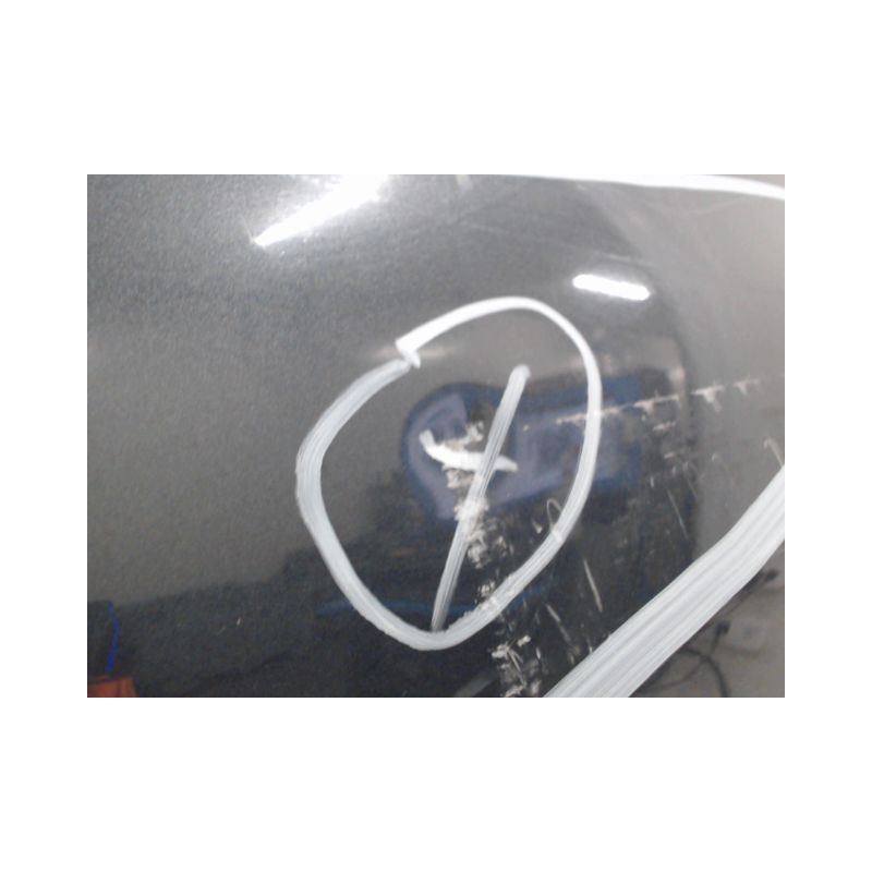PORTE ARRIERE GAUCHE DACIA SANDERO I 2008-2012