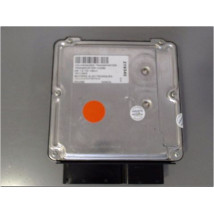CALCULATEUR MOTEUR VOLKSWAGEN TRANSPORTER COMBI 03-09