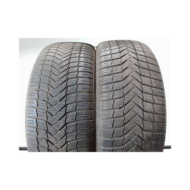 Paire de pneus SUNNY NC501 225 55 17 101 W