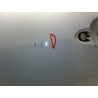 PORTE AVANT GAUCHE RENAULT MEGANE