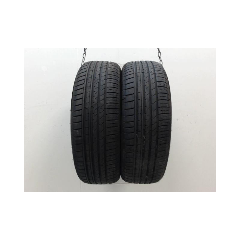Paire de pneus WINRUN R330 195 55 16 91 V