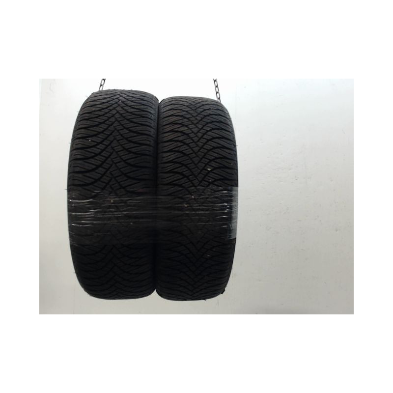 Paire de pneus WESTLAKE ALL SEASON ELITE Z-401 205 55 16 94 V