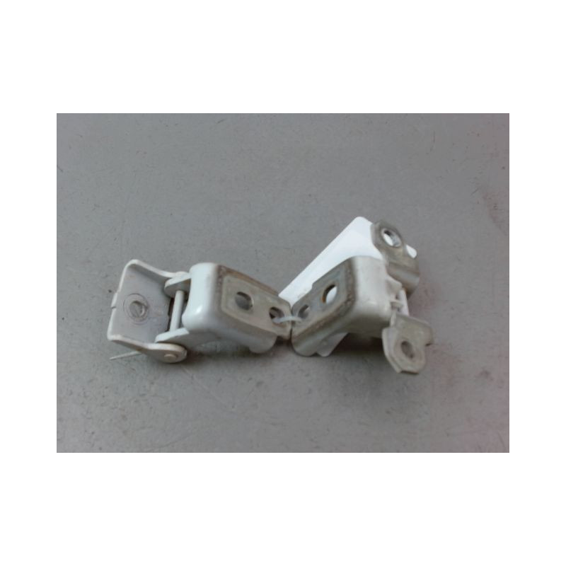 CHARNIÈRE PORTE AVG RENAULT CLIO IV Phase 1 2012-...