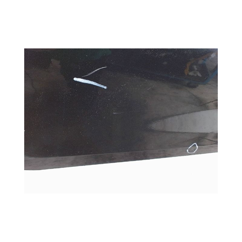 PORTE AVANT GAUCHE RENAULT CLIO III 2005-