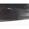 PORTE AVANT GAUCHE RENAULT CLIO III 2005-