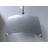 CAPOT CITROEN C3 2005-