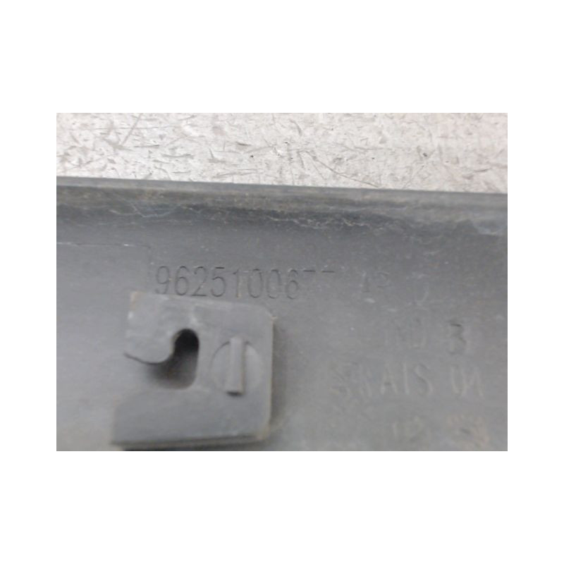 PROTECTION PORTE ARRIERE DROIT PEUGEOT 206