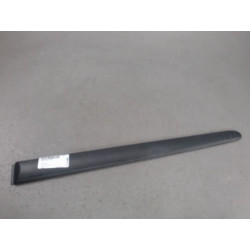 PROTECTION PORTE ARG