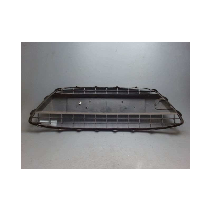 GRILLE PARE-CHOC AVANT FORD FIESTA