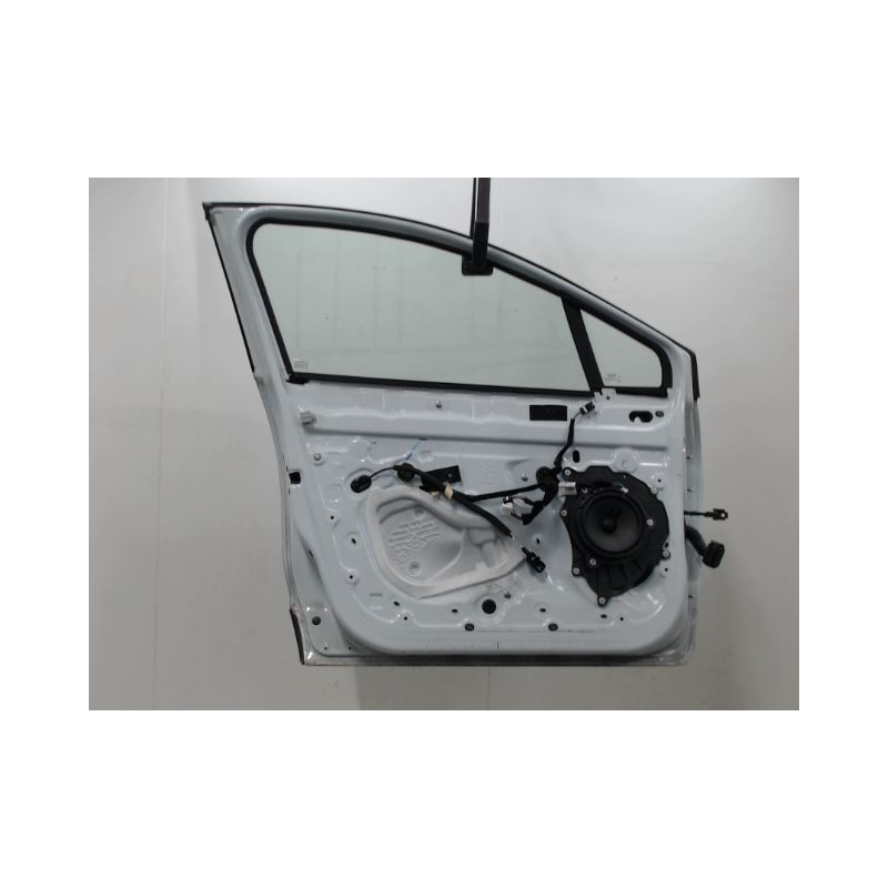 PORTE AVANT GAUCHE RENAULT CLIO IV Phase 1 2012-...