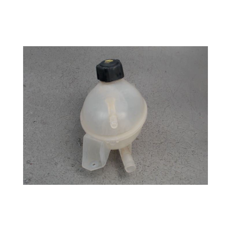 VASE EXPANSION RENAULT CLIO