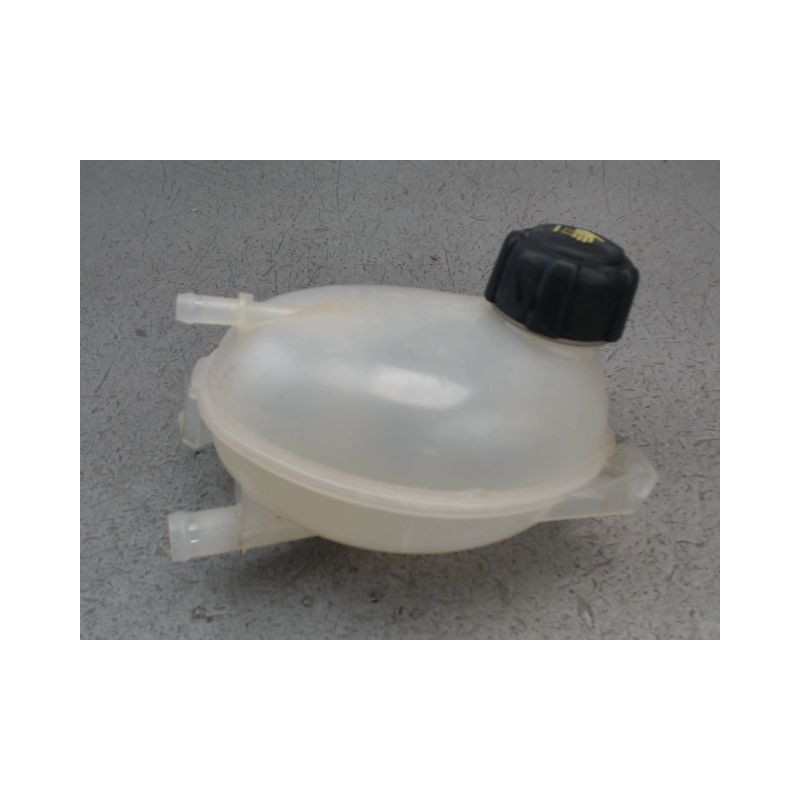 VASE EXPANSION RENAULT CLIO