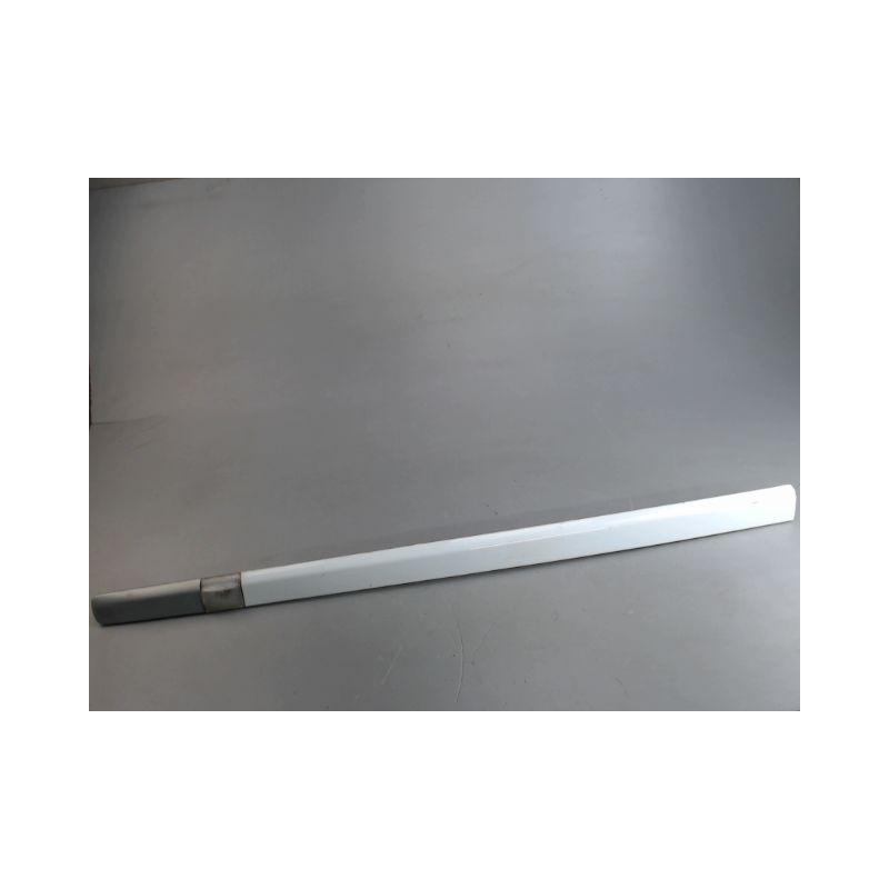 PROTECTION PORTE AVANT GAUCHE RENAULT CLIO